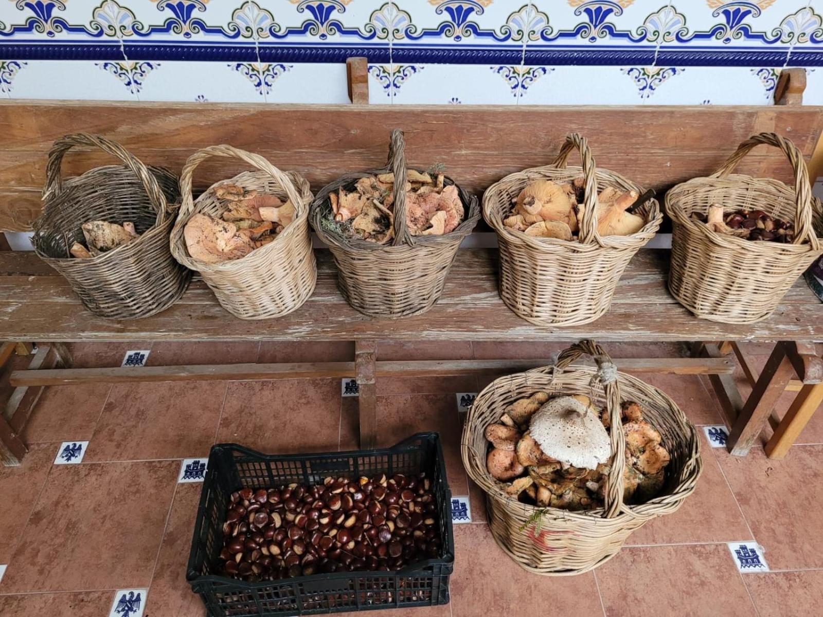 فيلا Casa Pozo Tarama Casavieja المظهر الخارجي الصورة